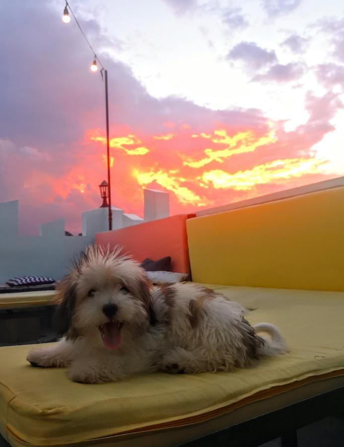 Antwet Backpacker'S Inn & Rooftop Bar Dumaguete City ภายนอก รูปภาพ